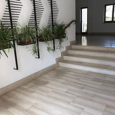 Appartamento Le Zagare Sorrento Eksteriør bilde